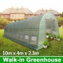 10m x 4m Heavy Duty 0.8x25mm Galvanised Frame Walk-in PE Polytunnel Greenhouse 